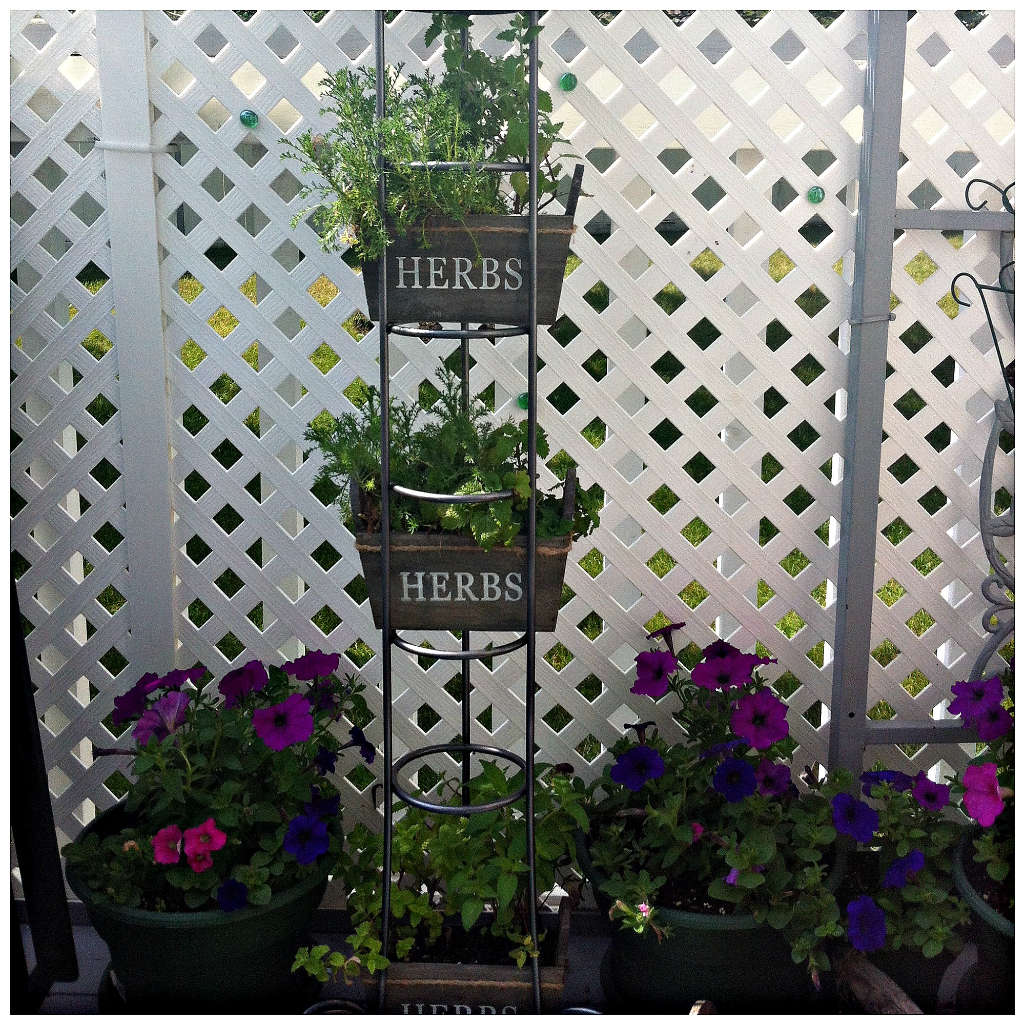 CD Rack Herb Garden 8 DIY Patio Accents #trashtotreasure #patio #diy #yard #garden #up-cycle #re-purpose #patio_table #plant_stand #bird_bath #herb_garden
