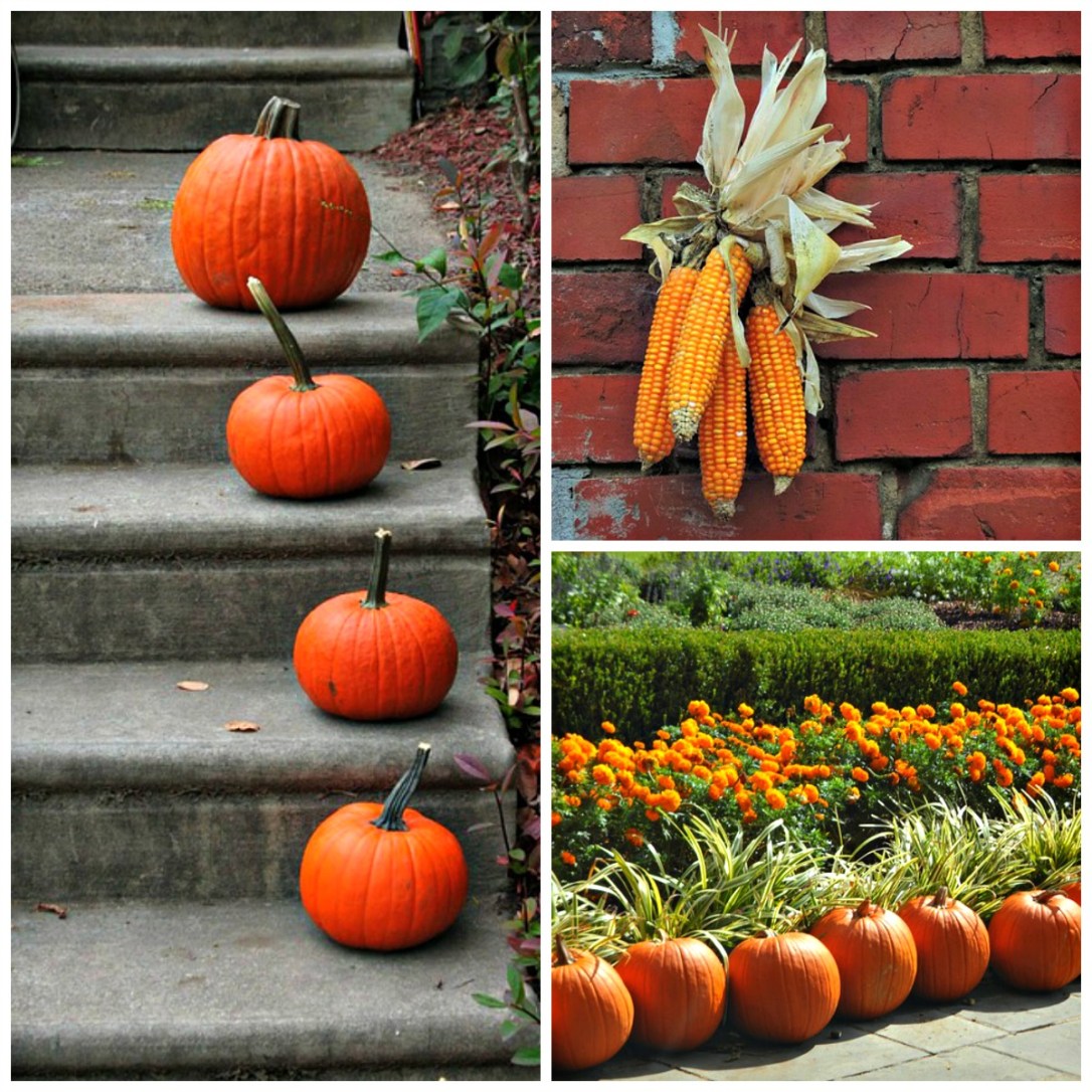 Fall Decorating Inspirations Keeping It Simple
