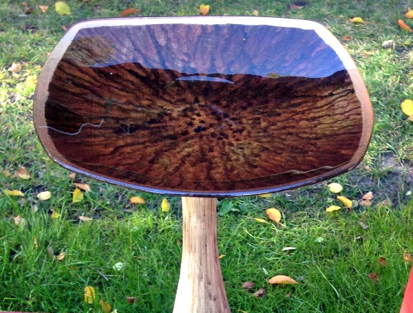 How to Repurpose a Bird Bath: Creative Ideas to Transform Your Garden