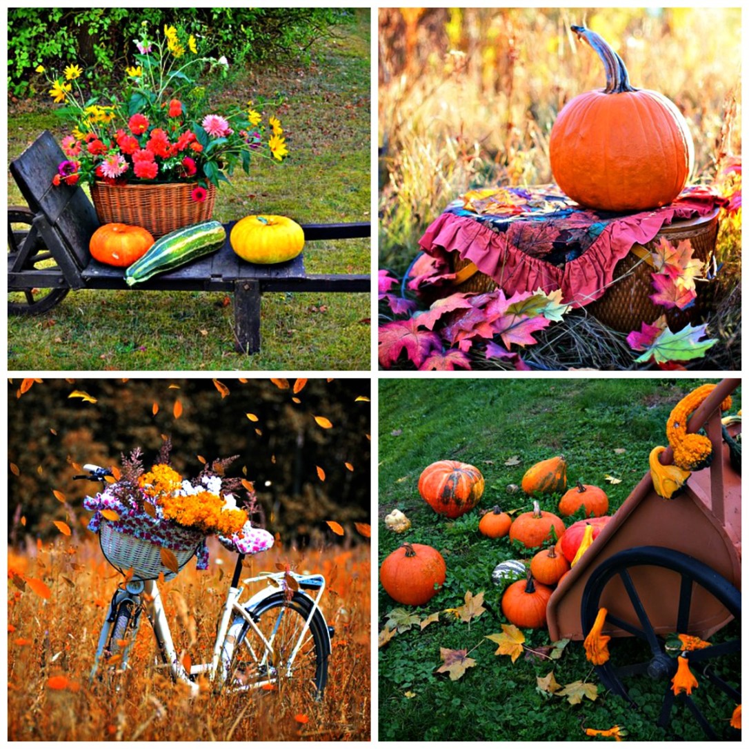 DIY outdoor fall decorating inspirations