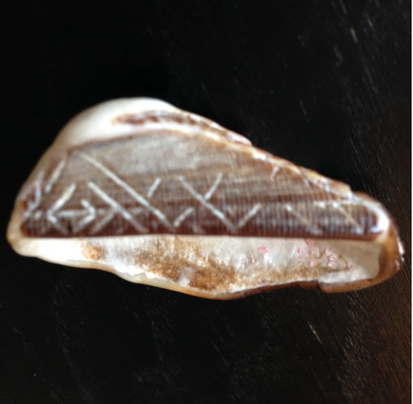 A Mysterious Shell With Ancient Script – starrcreative